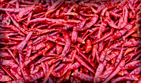 Dry Red Chilli Manufacturer